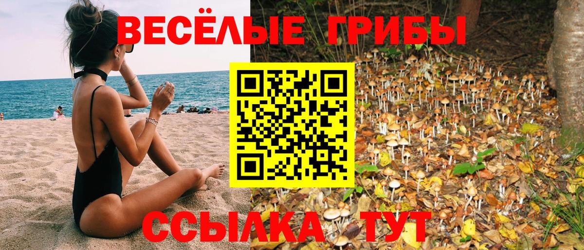 Псилоцибиновые грибы мицелий Абинск
